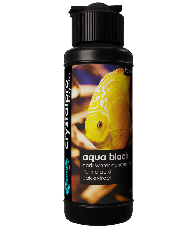 Aqua Black