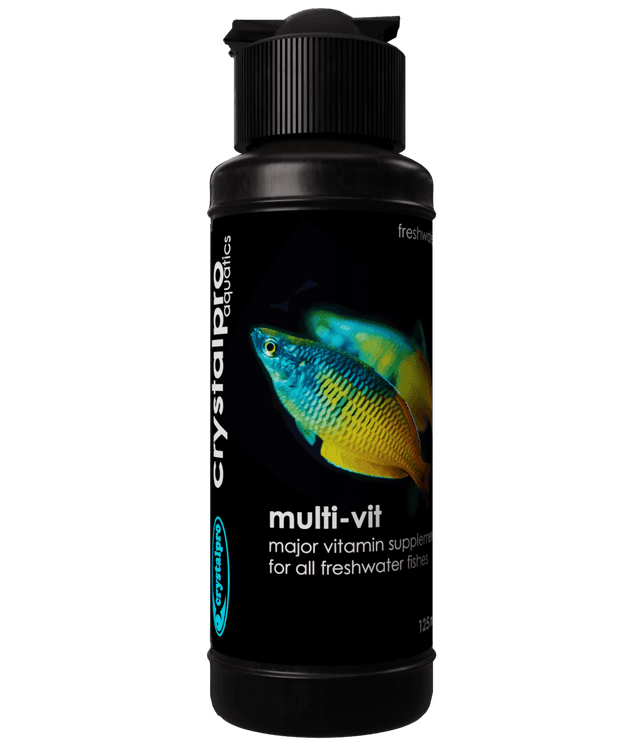 Multi-Vit