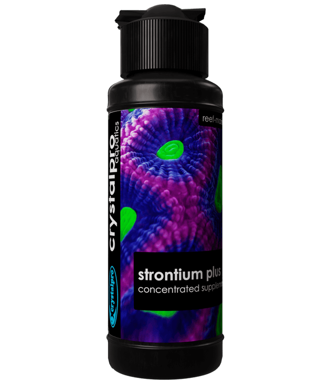 Strontium Plus